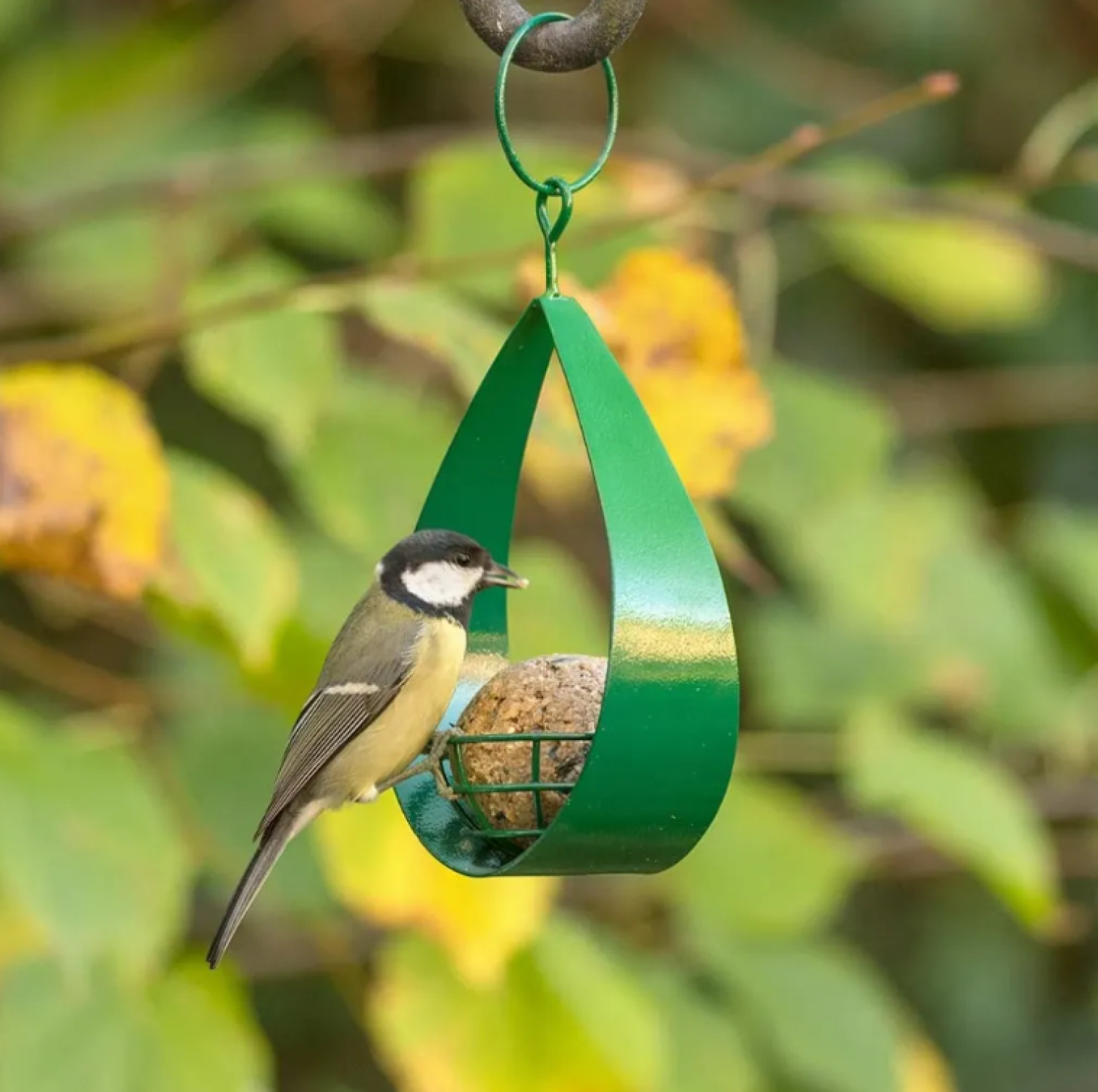Meisenknödel-Halter Canberra